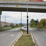 Društvo