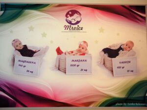 Prijedor podržao “Mrvice”: Otvorena izložba fotografija “Mi za njih” – FOTO