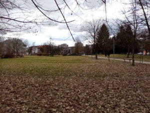 Pećanski park dobija nove sadržaje: Građani i dalje vape za biciklističkom i trim stazom – FOTO