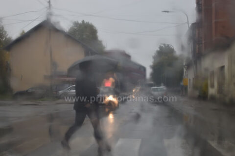 Život