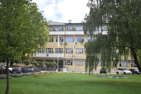 Društvo