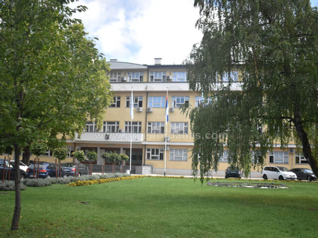 Društvo