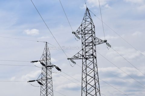 Društvo