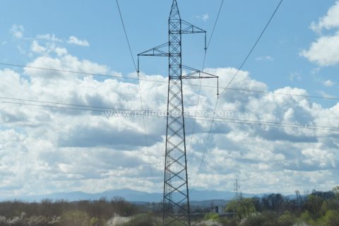Društvo