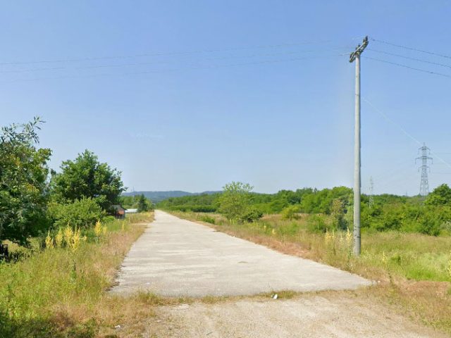 Društvo