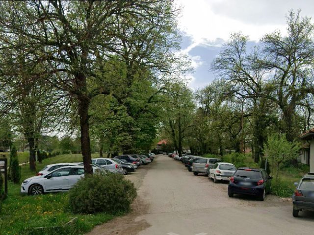 Društvo