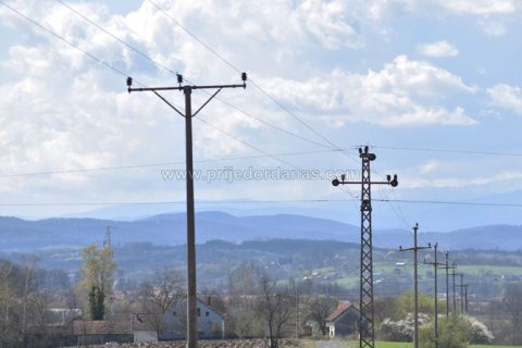 Društvo