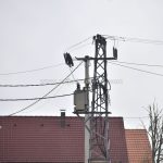 Društvo