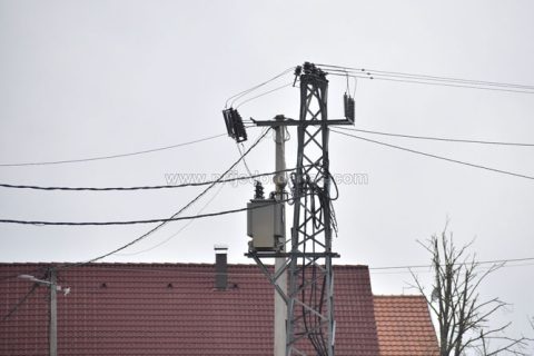 Društvo
