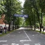 Društvo