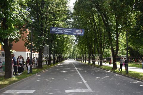 Društvo