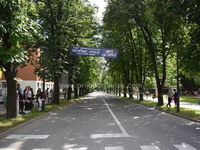 Društvo