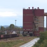 Društvo