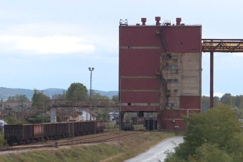 Društvo