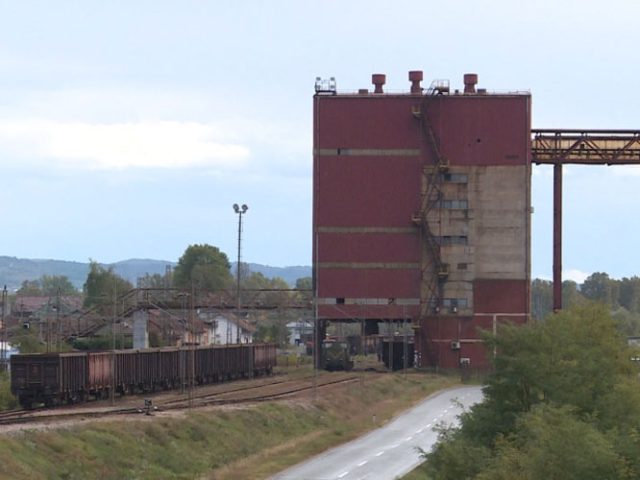 Društvo