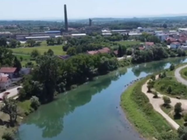 Društvo
