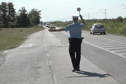 Društvo