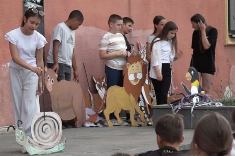 Mladi