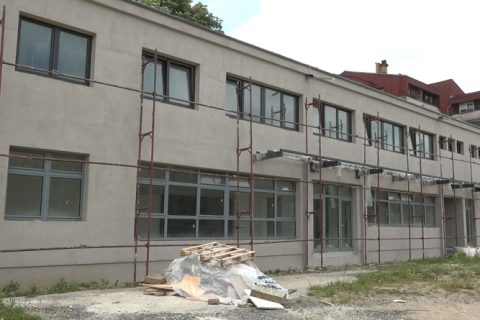 Društvo