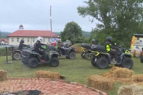 Život