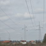 Društvo
