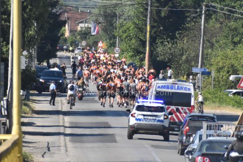 Društvo