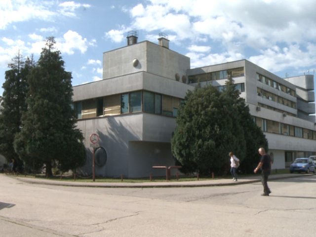 Društvo