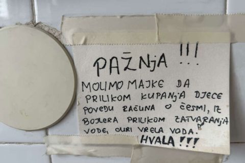 Društvo
