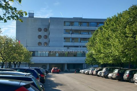 Društvo