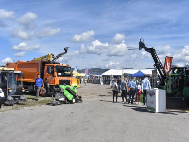Društvo