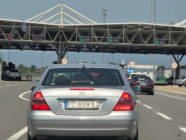 Društvo