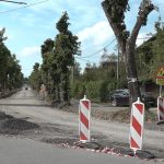 Društvo
