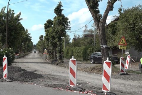 Društvo