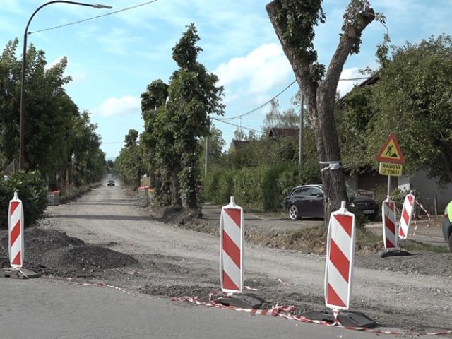 Društvo