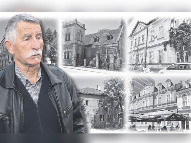 Društvo