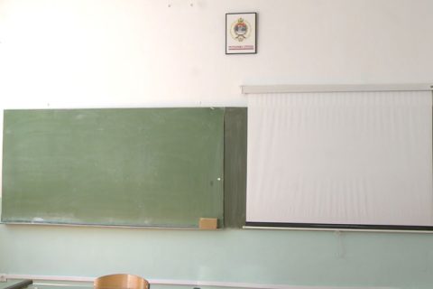 Mladi