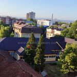 Društvo