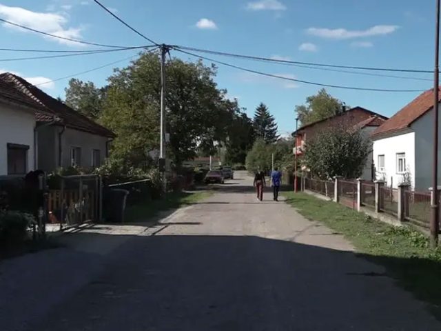 Društvo