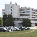 Društvo