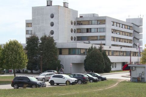 Društvo