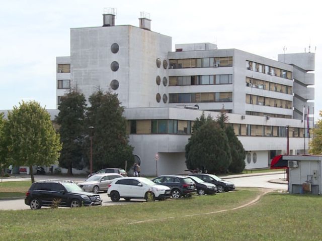 Društvo