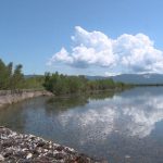 Društvo