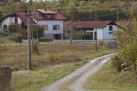 Društvo