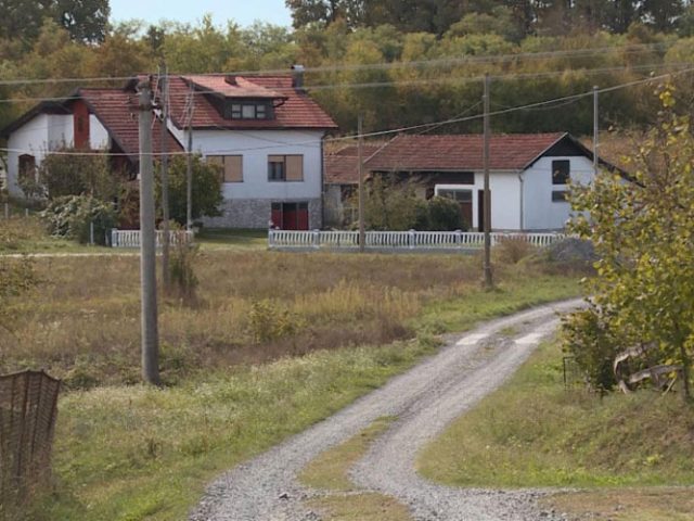 Društvo