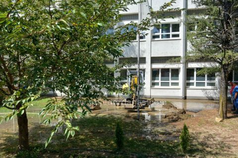 Društvo