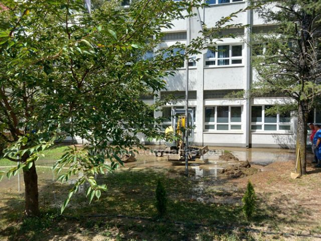 Društvo