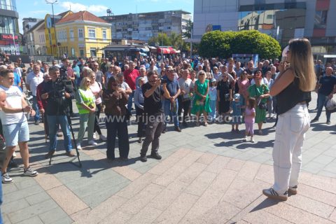 Društvo