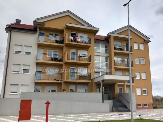 Društvo