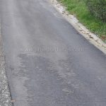 Društvo