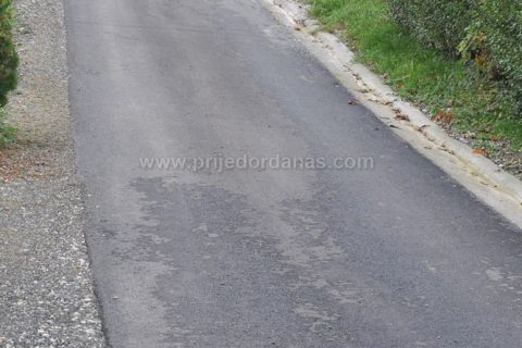 Društvo